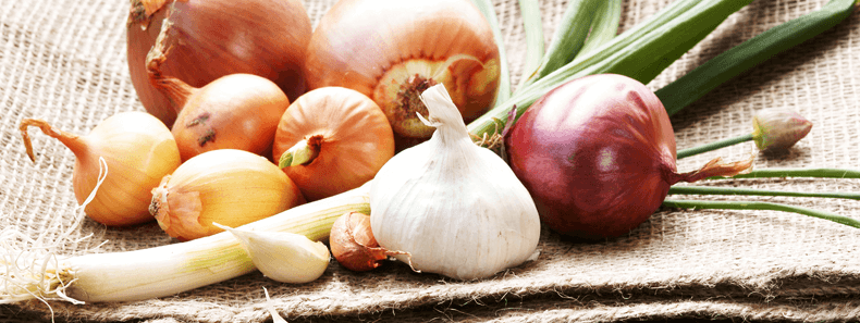 Allium Intolerance | Symptoms and Testing